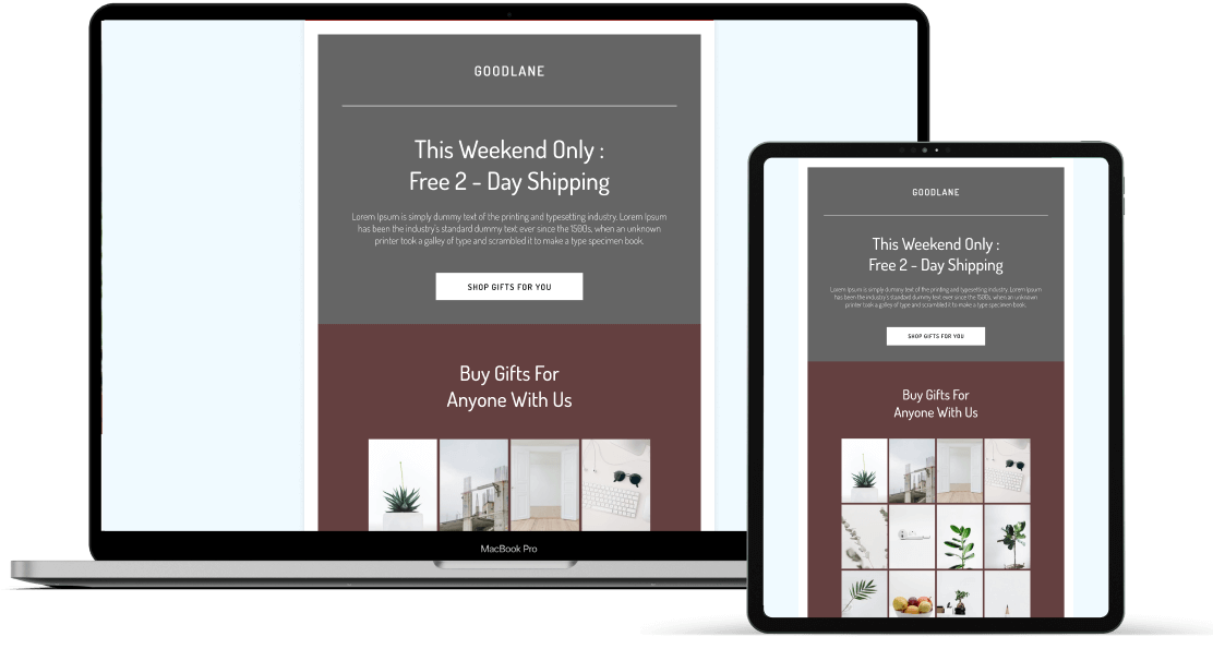 3 Image Product on Offer Email